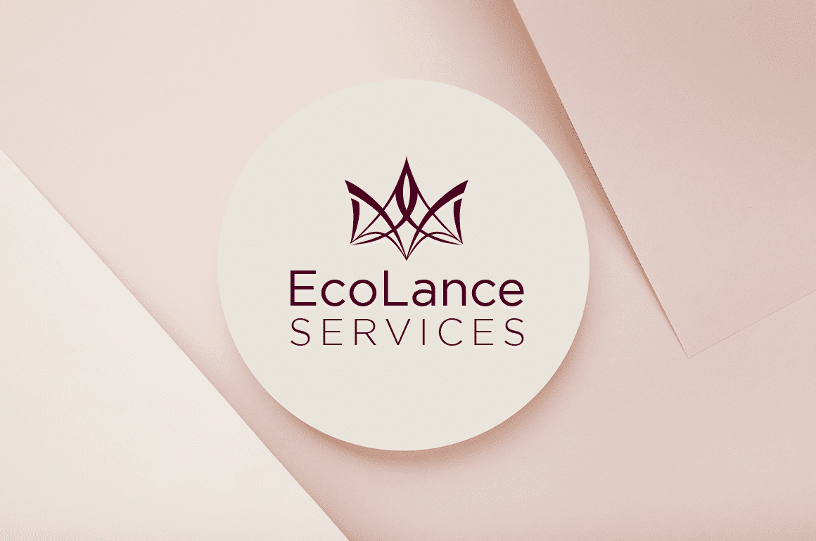 Logo design for cleaning company
